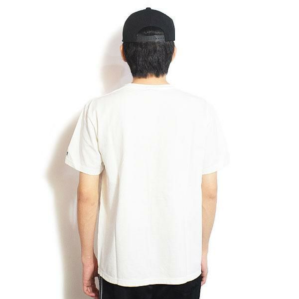 The Endless Summer エンドレスサマー TES VINTAGE SKATE BUHI T
