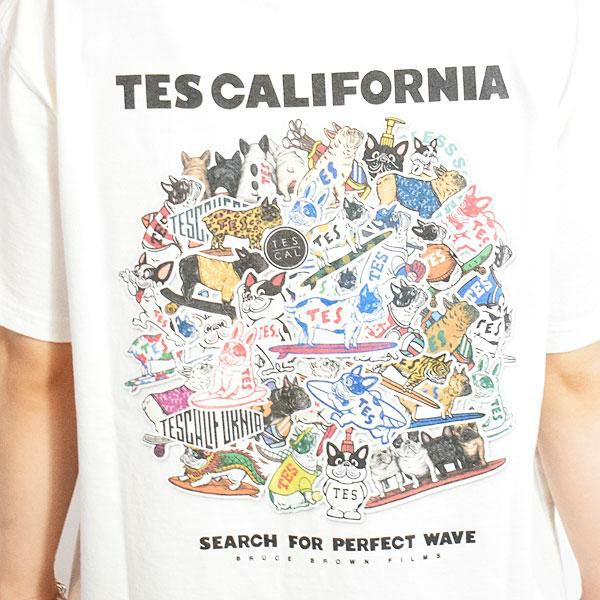 The Endless Summer エンドレスサマー TES BUHI ALL STAR T