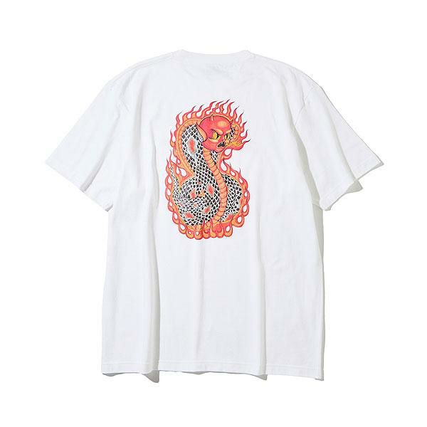 2025 夏秋 先行予約 7月～8月入荷予定 CLUCT クラクト HIGHER AND