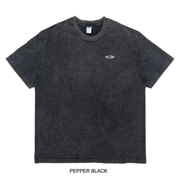 CHALLENGER チャレンジャー　44 ブルー＆レッド　Tシャツ M 2枚 CHALLENGER(チャレンジャー) / 20SS/SNAKE DRAGON TEE/Tシャツ/M