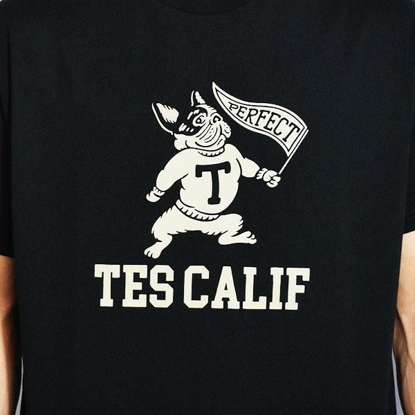 The Endless Summer エンドレスサマー TES COLLEGE FLOCKY T