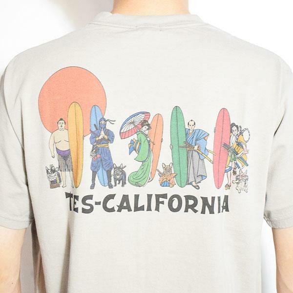 【2025年最新】大人気ブランドの人気アイテム  The Endless Summer エンドレスサマー TES JAPAN ALLSTAR T コレクション