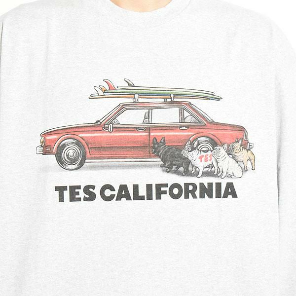 The Endless Summer エンドレスサマー TES 4 BUHI CHASING THE